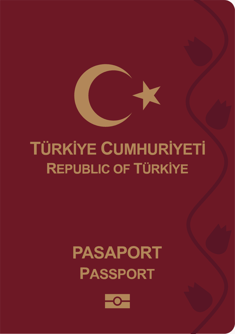 Paszport — Turcja